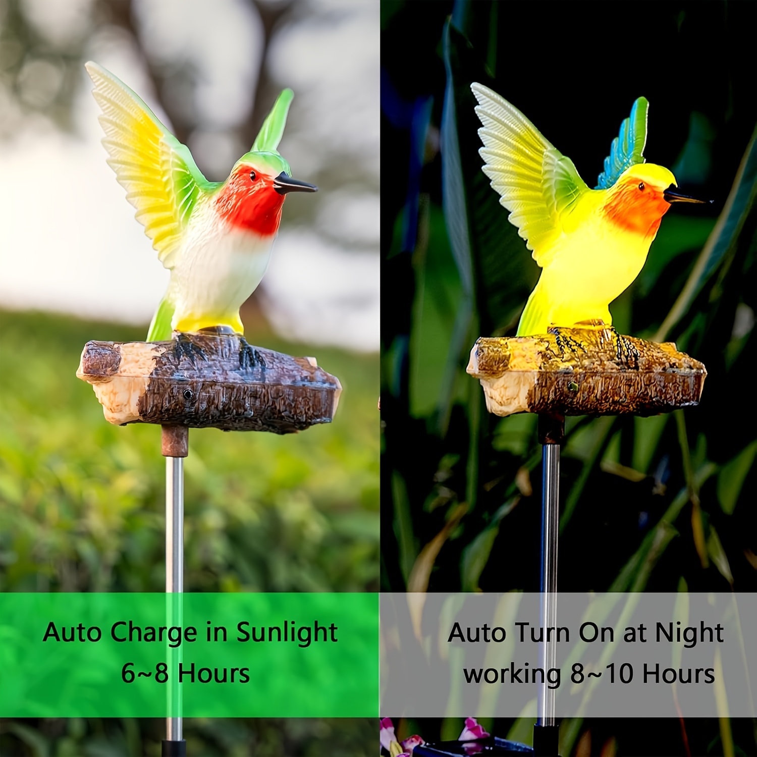 屋外用ソーラーガーデンライト、屋外用ソーラーガーデンステーク - Outdoor Lighting Pathway のレビューと価格